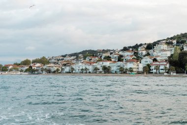 Modern Türk evlerinin ve prenses adalarında deniz kıyısında uçan martılar.