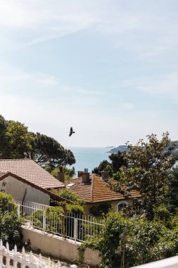 Prenses adalarında hindiyle evlerin ve denizlerin üzerinde uçan kuş. 