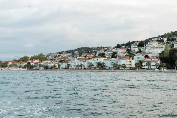 Gaviota salvaje sobrevolando las casas turcas modernas y la orilla del mar en las islas princesa - foto de stock