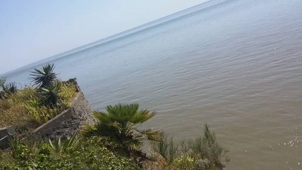 Hermosa Vista Del Mar Con Palmeras Pequeñas —  Fotos de Stock