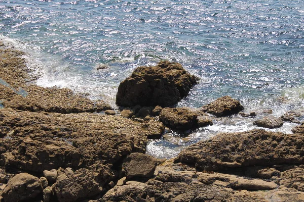 Entre Terra Mar Natureza Está Aqui — Fotografia de Stock