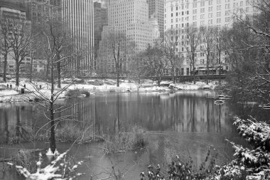 Central Park, Manhattan 'da çok kar yağıyor.