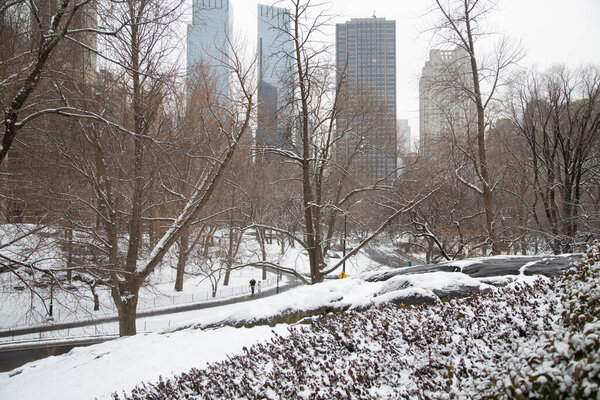 Snowing a lot in Central Park, Manhattan