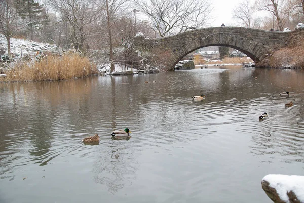 Central Park 'ta çok kar yağıyor..