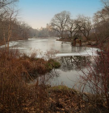 Central Park 'ta donmuş bir göl, kırmızımsı bitki manzaralı..
