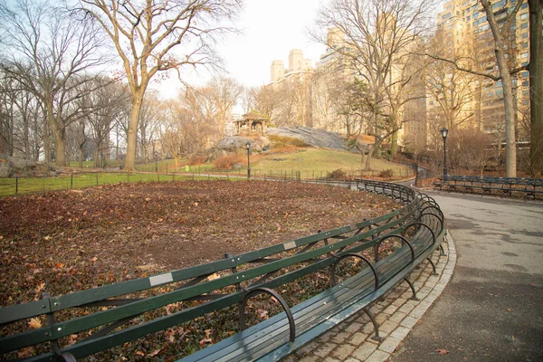 Central Park Manzaralı Kemerli Banklar Kuru Yapraklar — Stok fotoğraf