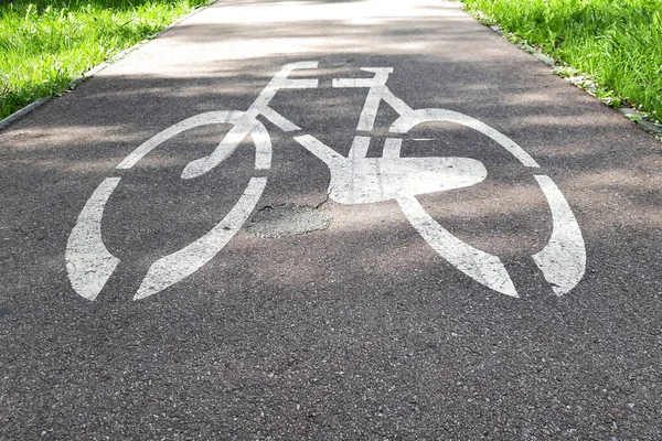 Bicycle path in city park. Summer or autumn sunny day. Traffic Laws. Road markings on bike lane. Europe, Poland. Concept of urban infrastructure development. Highway code.