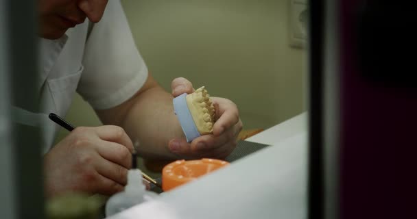 De tandtechnicus selecteert de kleur en brengt verf aan op het kunstgebit model kaak met een borstel in het tandtechnisch laboratorium. — Stockvideo