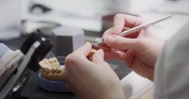 Um técnico odontológico segura uma maquete do articulador da mandíbula em suas mãos. — Vídeo de Stock