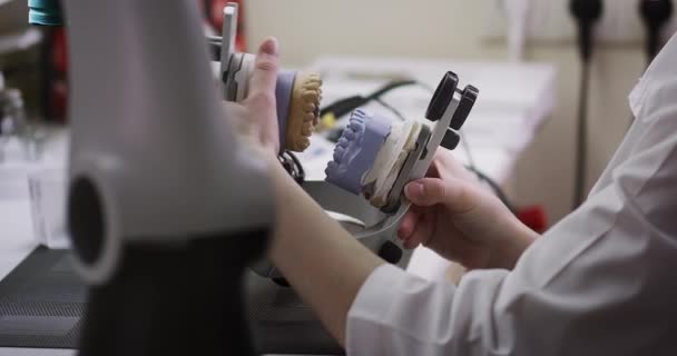 Un tehnician dentar ține o batjocură a articulatorului maxilarului în mâini. — Videoclip de stoc
