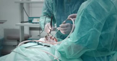 Doktor bademcikleri almak için pediatrik cerrahi bir operasyon yapıyor. Bademcik ameliyatı..