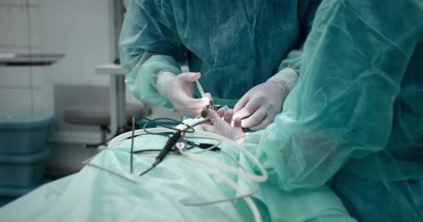 El médico realiza una operación quirúrgica pediátrica para extraer las amígdalas. Amigdalectomía. — Vídeos de Stock