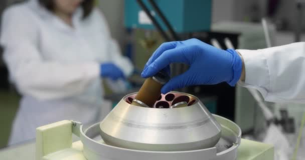 Um assistente de laboratório em um laboratório químico realiza controle de qualidade — Vídeo de Stock