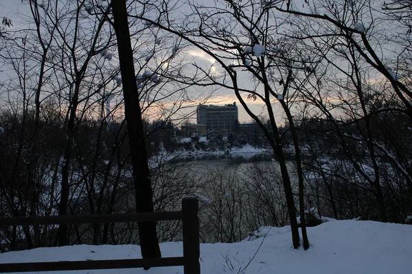 美しい冬の風景湖を背景にした公園 — ストック写真