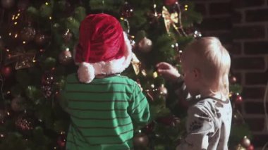 Noel ağacının altında küçük sevimli bir kedi yavrusu. Evde elleri zencefilli kedi besliyor. Mutlu noeller. Noel arifesinde sürpriz hediye..