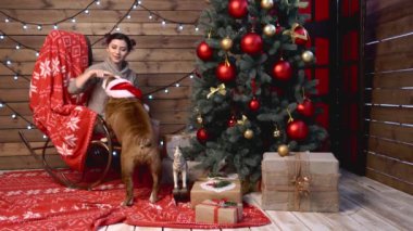 Güzel Asyalı kadın Noel ağacının altında safkan İngiliz bulldoguyla Noel 'i kutluyor. Kız köpeğini kucaklıyor ve gülümsüyor. Mutlu yıllar konsepti.