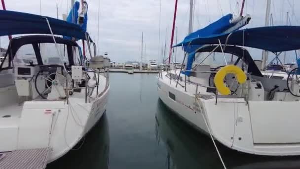 Много Парусных Яхт Причаливают Парусные Лодки Чартерной Компании Яхтенной Пристани — стоковое видео