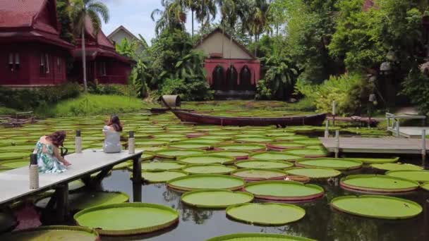 Βασιλικά Νούφαρα Καφέ Τουρίστες Θαυμάζουν Τεράστια Νούφαρα Στη Λίμνη Και — Αρχείο Βίντεο