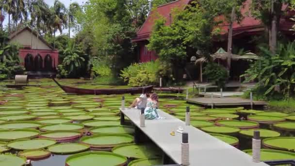 Koninklijke Waterlelies Een Caf Toeristen Bewonderen Enorme Waterlelies Vijver Nemen — Stockvideo
