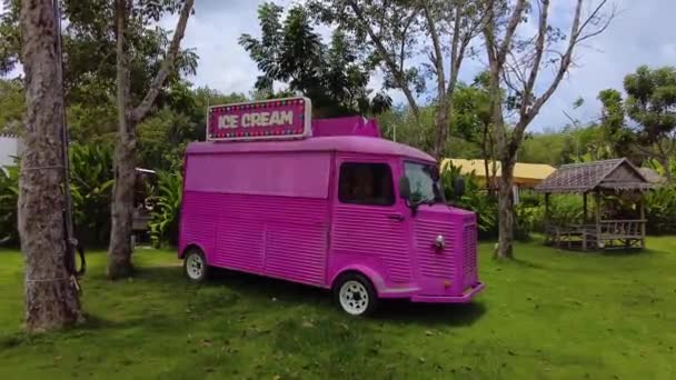 Rosa Furgoneta Helados Móvil Comercio Justo Furgoneta Helados Rosa Camioneta — Vídeo de stock