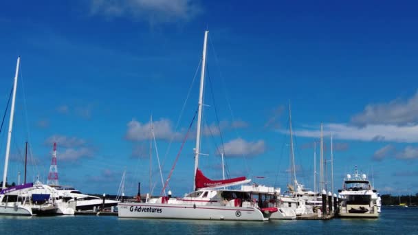 Katamarany Żaglowe Firmy Dream Yacht Charter Doku Phuket Jachty Żaglowe — Wideo stockowe