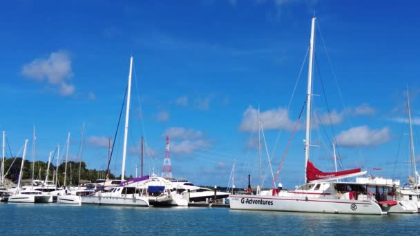 Katamarany Żaglowe Firmy Dream Yacht Charter Doku Phuket Jachty Żaglowe — Wideo stockowe