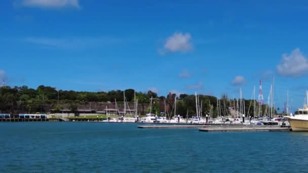 Jachty Żaglowe Przystani Jachtowej Wiele Żaglówek Klubie Jachtowym Tropikach — Wideo stockowe