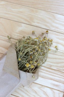 Şehir parkındaki büyük mavi süsen çiçekleri. Bahar