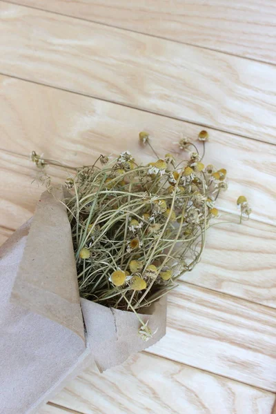 Şehir parkındaki büyük mavi süsen çiçekleri. Bahar