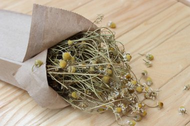 Şehir parkındaki büyük mavi süsen çiçekleri. Bahar