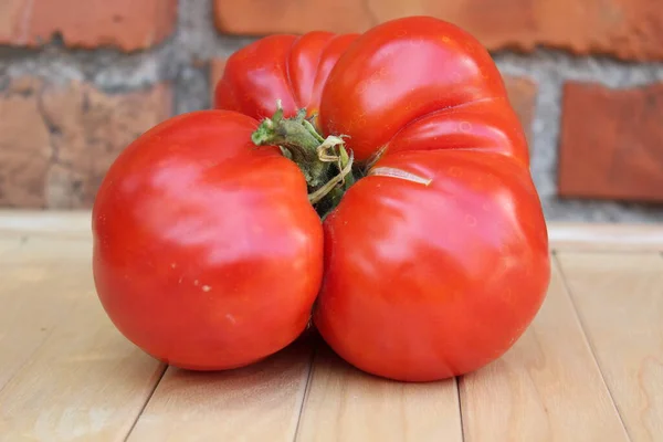 Dojrzałe Czerwone Pomidory Ceglanym Tle Ściany — Zdjęcie stockowe
