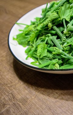 Gracilaria 'ya yakın çekim