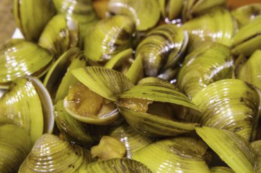 Deniz tarağı turşusu.