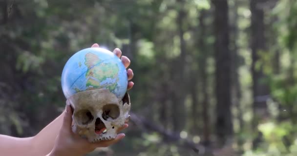 Falsi Teschi Umani Teschio Decorativo Teschio Umano Artificiale Piccolo Globo — Video Stock