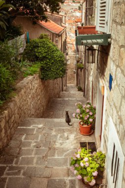 Eski Dubrovnik kasabasında Dorrway
