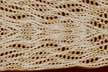 Eski Beyaz Tekstil deseni. Yüzey Sırası Örgü Kabarıklığı.