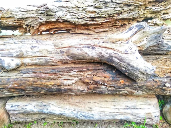 Pile of rotting old wood