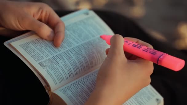 소녀는 바닷가에 통나무 평화롭게 앉아서 사전에 단어들을 찾아보고 읽었다 가능성의 — 비디오
