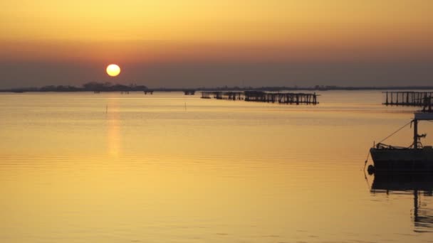 Sunset Sacca Scardovari Delta Del Comacchio Lagoon Sunny Day Veneto — Stock Video