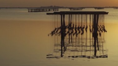 Sacca di scardovari 'de gün batımı, Delta del Po, Comacchio lagünü, Veneto' da güneşli bir gün, Emilia Romagna, İtalya. Sakin ve huzurlu bir konsept ve atmosfer. Günbatımı Rovigo Denizi