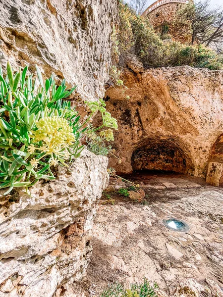 Красивий Вид Камінням Рослинами — стокове фото