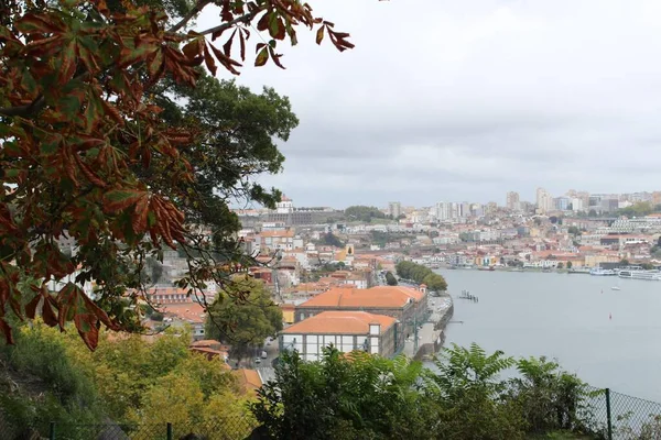 Kristal Saray Bahçesinden Douro Nehri Manzarası — Stok fotoğraf