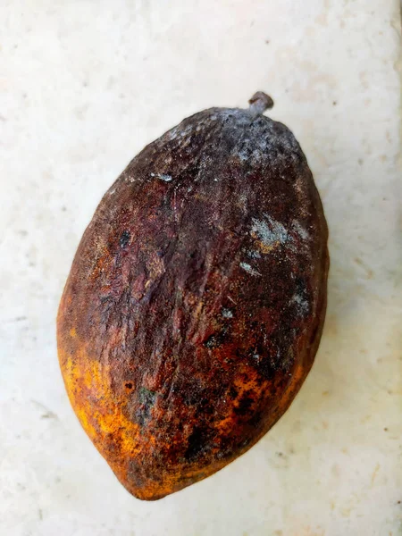 Eine Morsche Kakaoschote Auf Dem Boden — Stockfoto