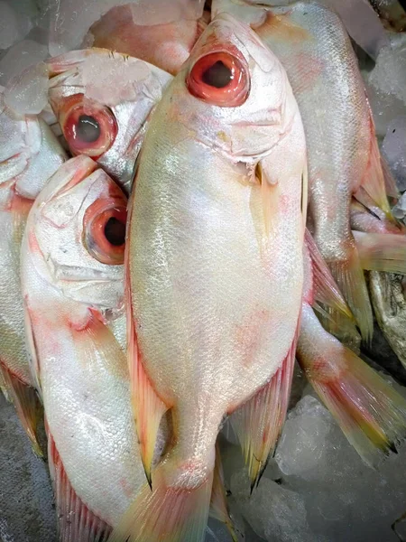 Fresh Red Bigeye Fishes Market Stall — Stock Photo, Image