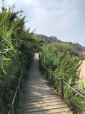 Kuzey Portekiz kıyı yolu.