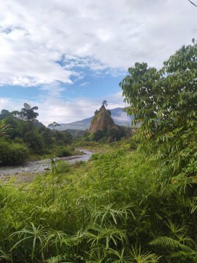 Yazın dağların manzarası.