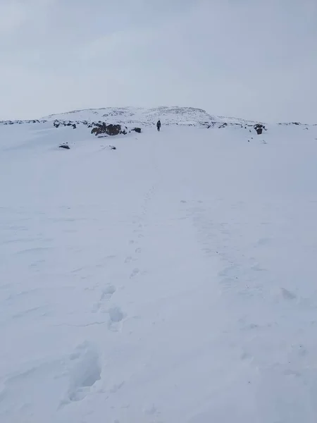 Vandrare Går Upp Snötäckt Kulle Kanadensiska Arktis Lugn Dag Lämnar — Stockfoto