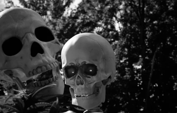 Black White Couple Skeletons Messing Cannabis Plants — Stock Photo, Image