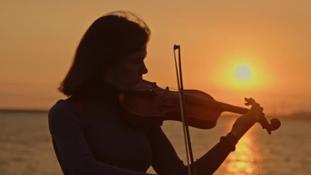 Женщина-скрипачка играет на рассвете — стоковое видео