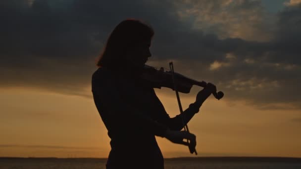 Silhouet van de vrouw die viool speelt — Stockvideo